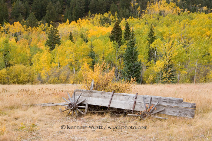 fall color, wagon, Ashcroft, Aspen, Colorado photo